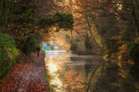 CanalDecember Milligan