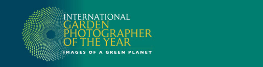 IGPOTY2011