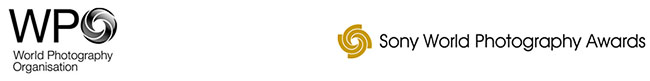 SonyWPO-PressRelease20111207