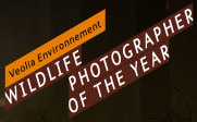 NHM-WildLifePhotog2012